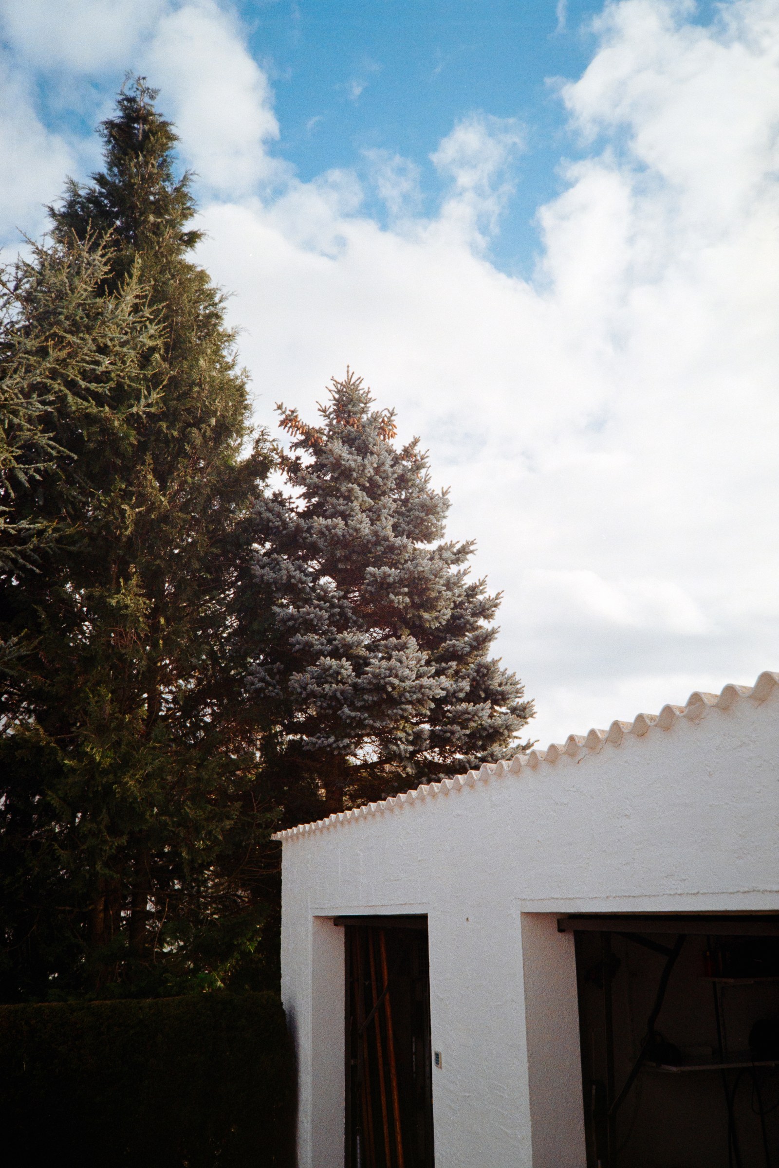 Photographic Work (900) – b900
