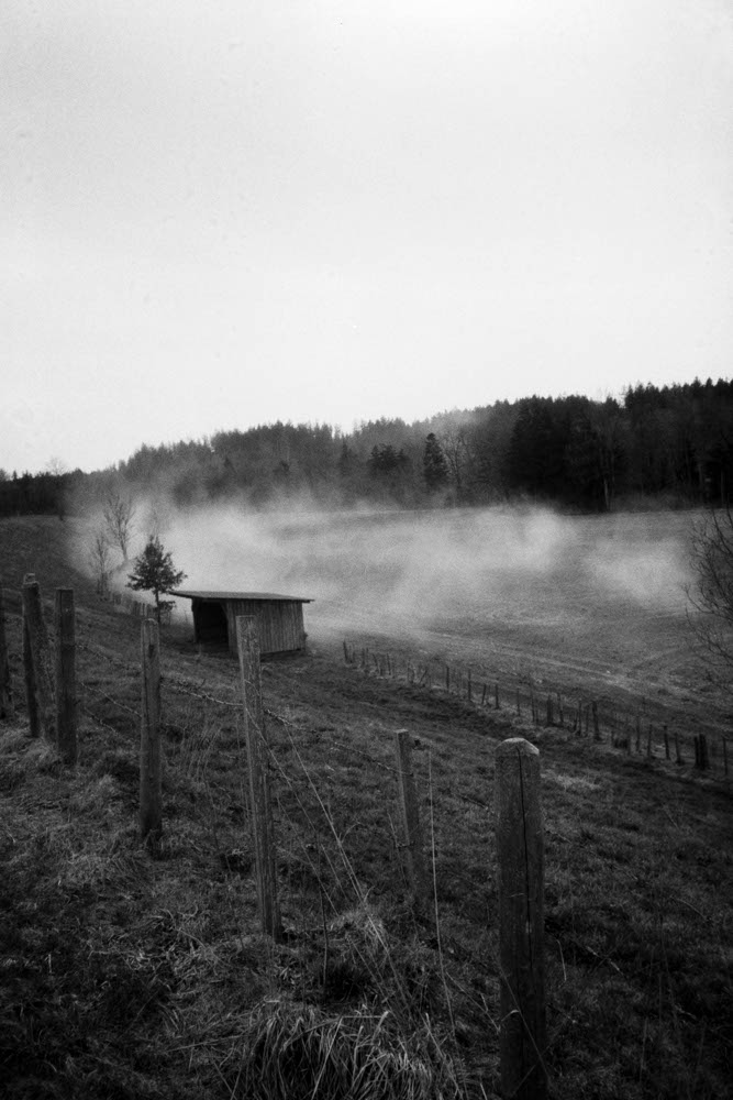 Photographic and Artistic Work by Leon Eichelbaum (Archive) – b106