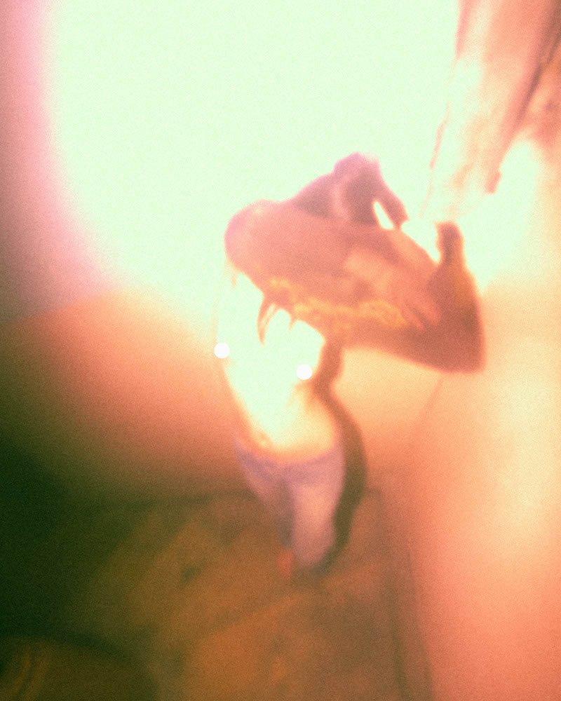 Photographic and Artistic Work by Leon Eichelbaum (Archive) – b1218