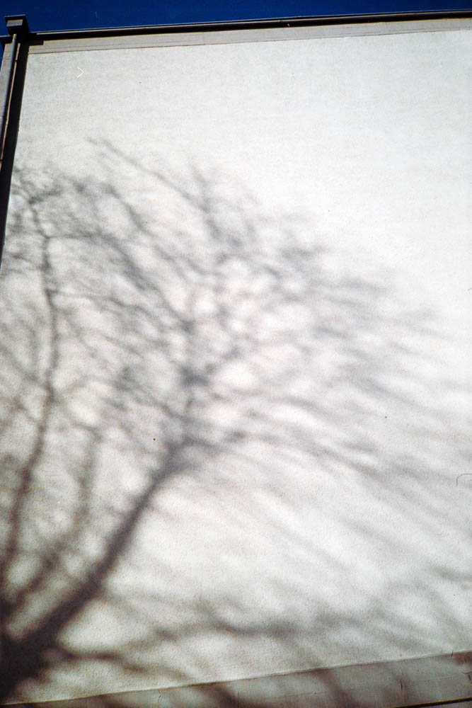 Photographic and Artistic Work by Leon Eichelbaum (Archive) – b122