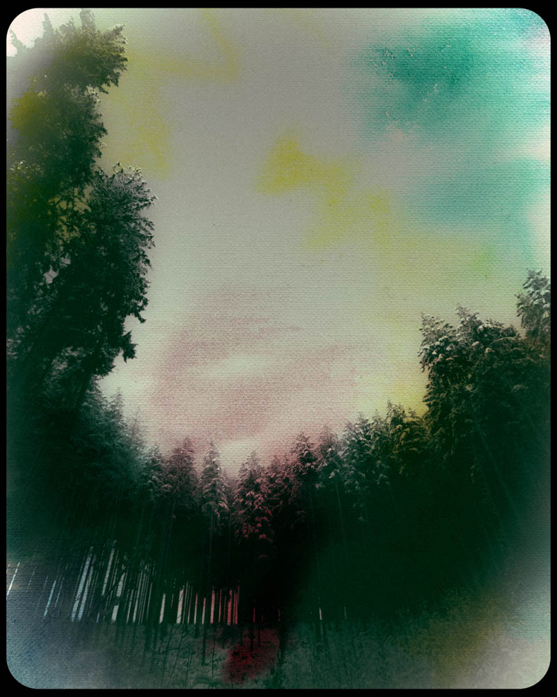 Photographic and Artistic Work by Leon Eichelbaum (Archive) – b1430