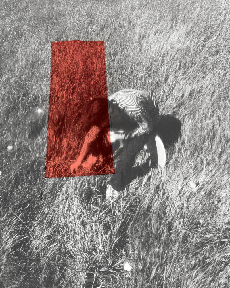 Photographic Work (1443) – b1443