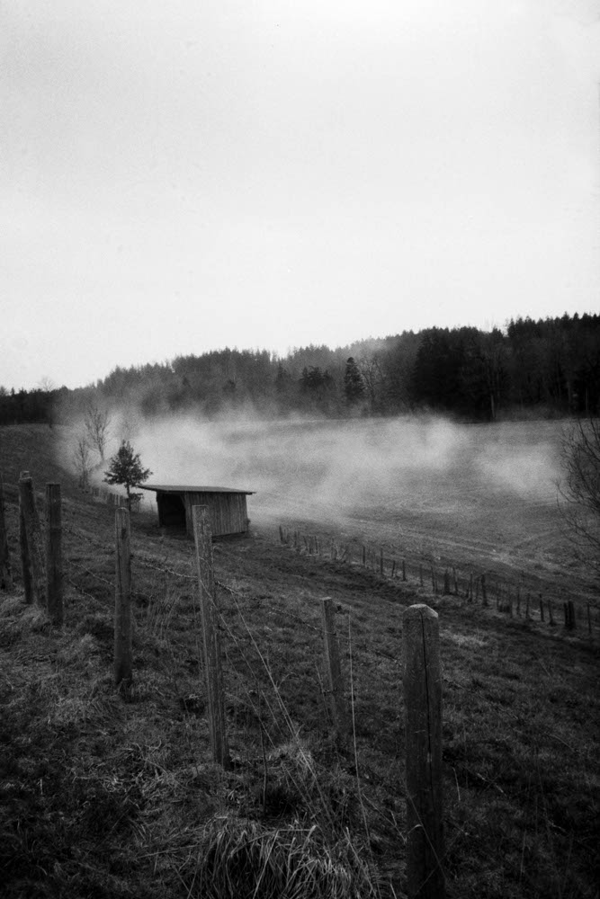 Photographic and Artistic Work by Leon Eichelbaum (Archive) – b148