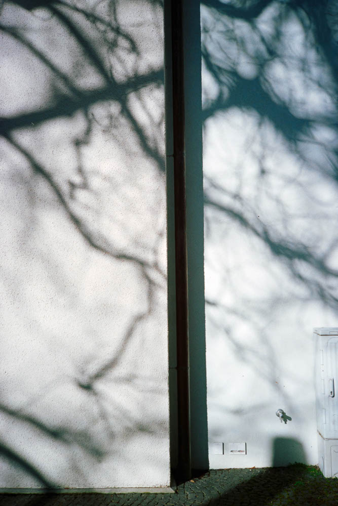 Photographic and Artistic Work by Leon Eichelbaum (Archive) – b159
