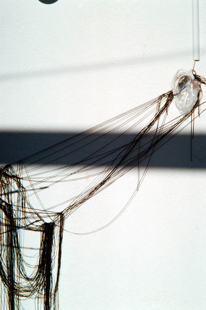 Photographic and Artistic Work by Leon Eichelbaum (Archive) – b1722