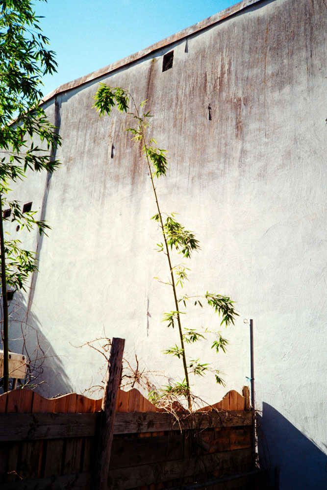 Photographic and Artistic Work by Leon Eichelbaum (Archive) – b1750
