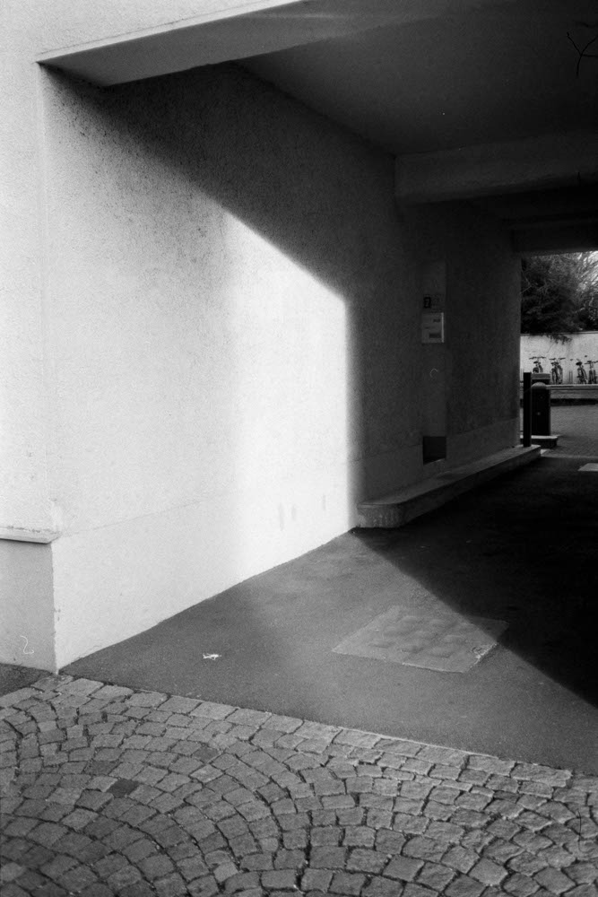 Photographic and Artistic Work by Leon Eichelbaum (Archive) – b178