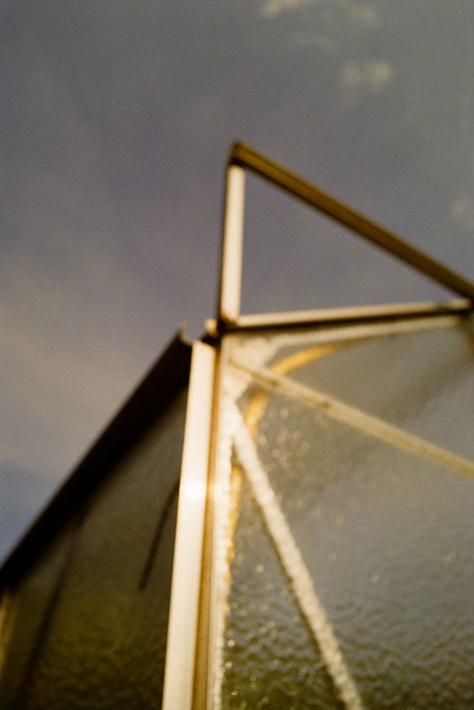 Photographic and Artistic Work by Leon Eichelbaum (Archive) – b1785