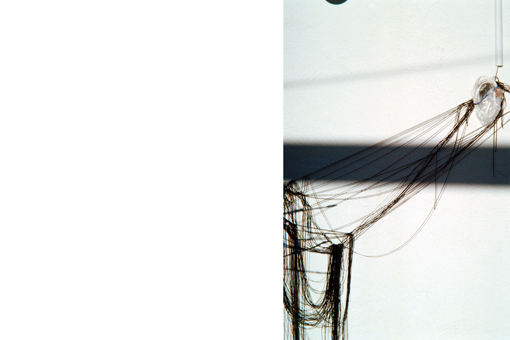 Photographic and Artistic Work by Leon Eichelbaum (Archive) – b1828