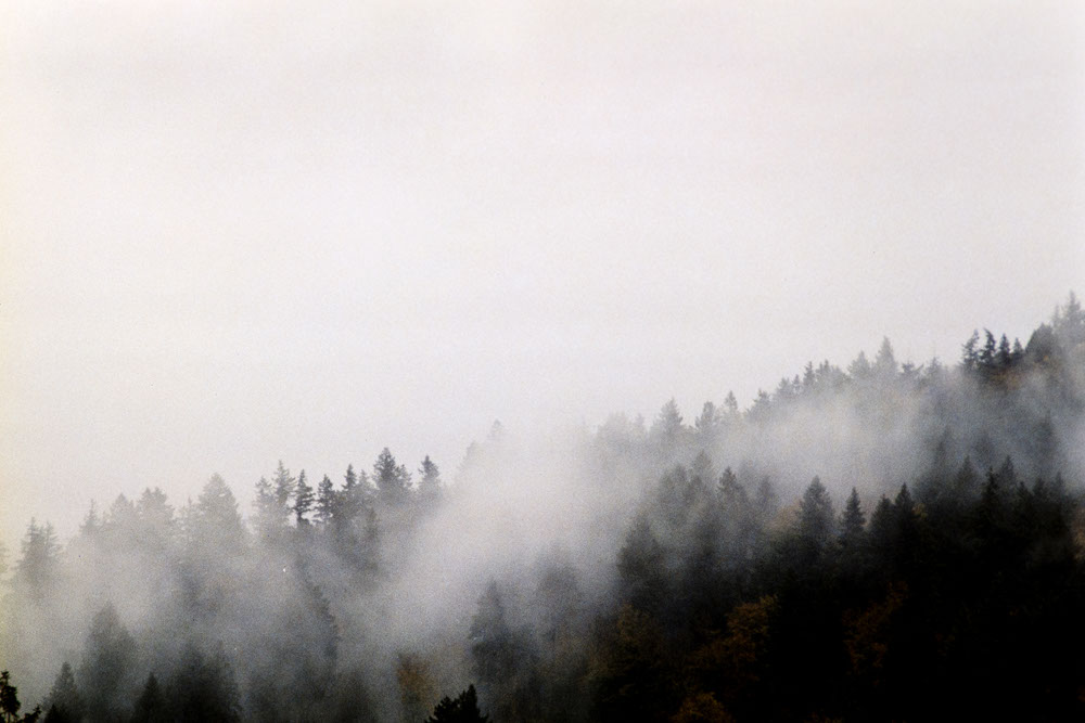 Photographic and Artistic Work by Leon Eichelbaum (Archive) – b1996