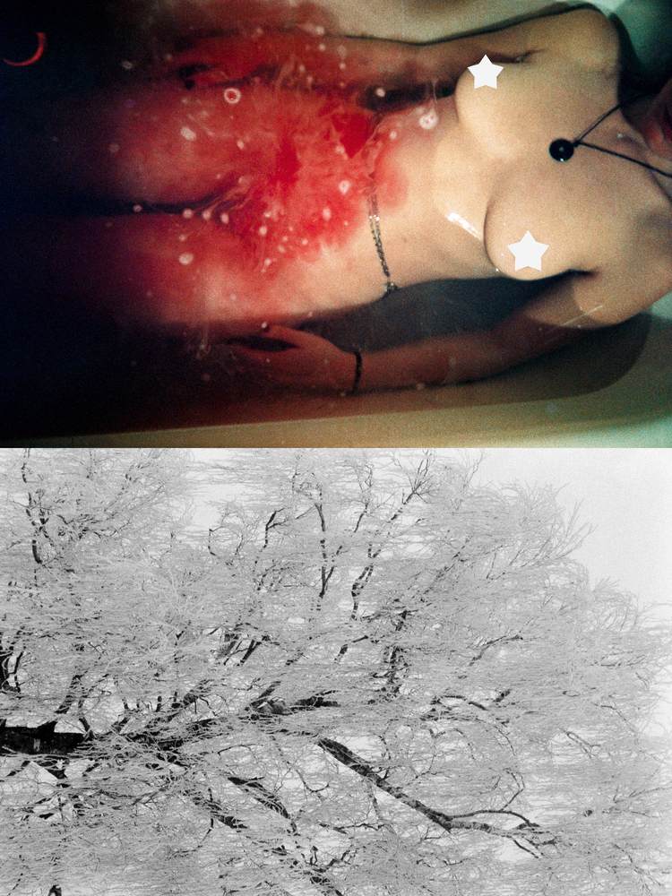 Photographic and Artistic Work by Leon Eichelbaum (Archive) – b2018