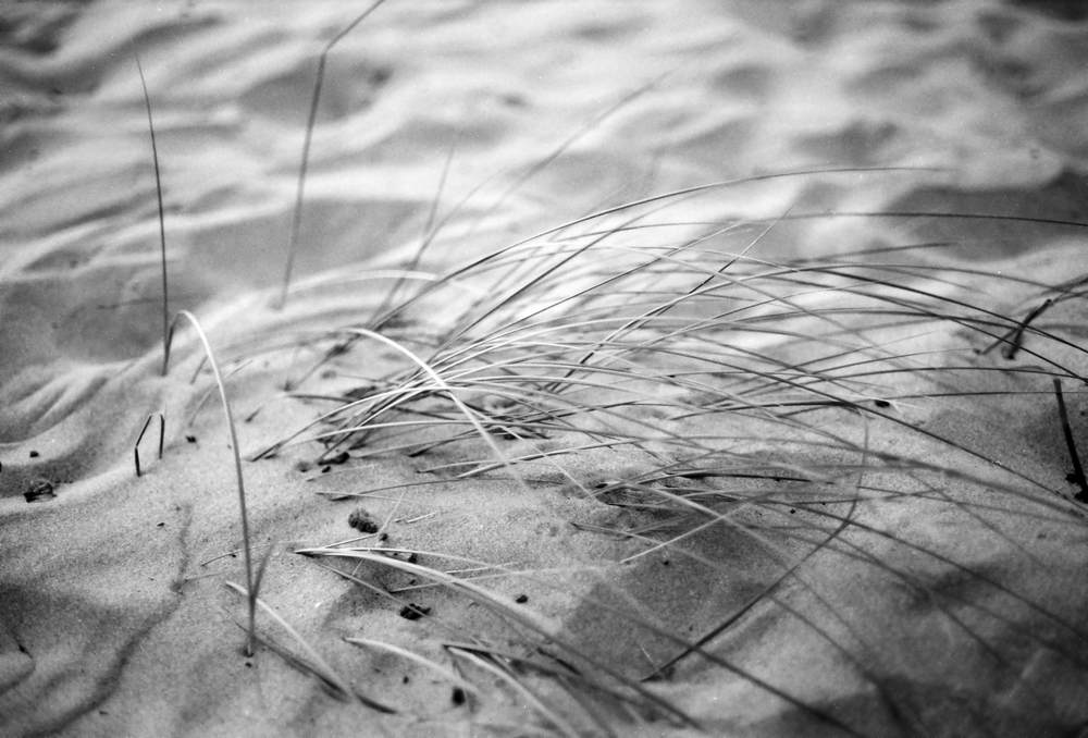 Photographic and Artistic Work by Leon Eichelbaum (Archive) – b2019