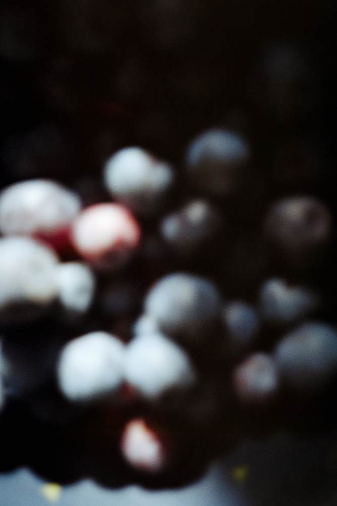 Photographic and Artistic Work by Leon Eichelbaum (Archive) – b2117