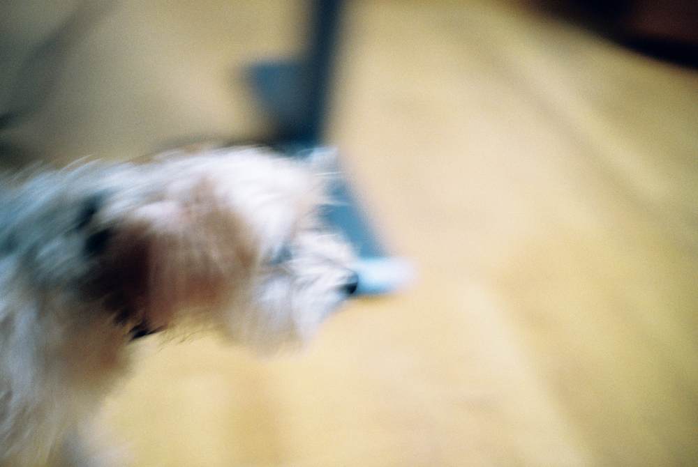 Photographic Work (2120) – b2120