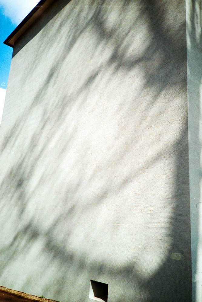 Photographic and Artistic Work by Leon Eichelbaum (Archive) – b227