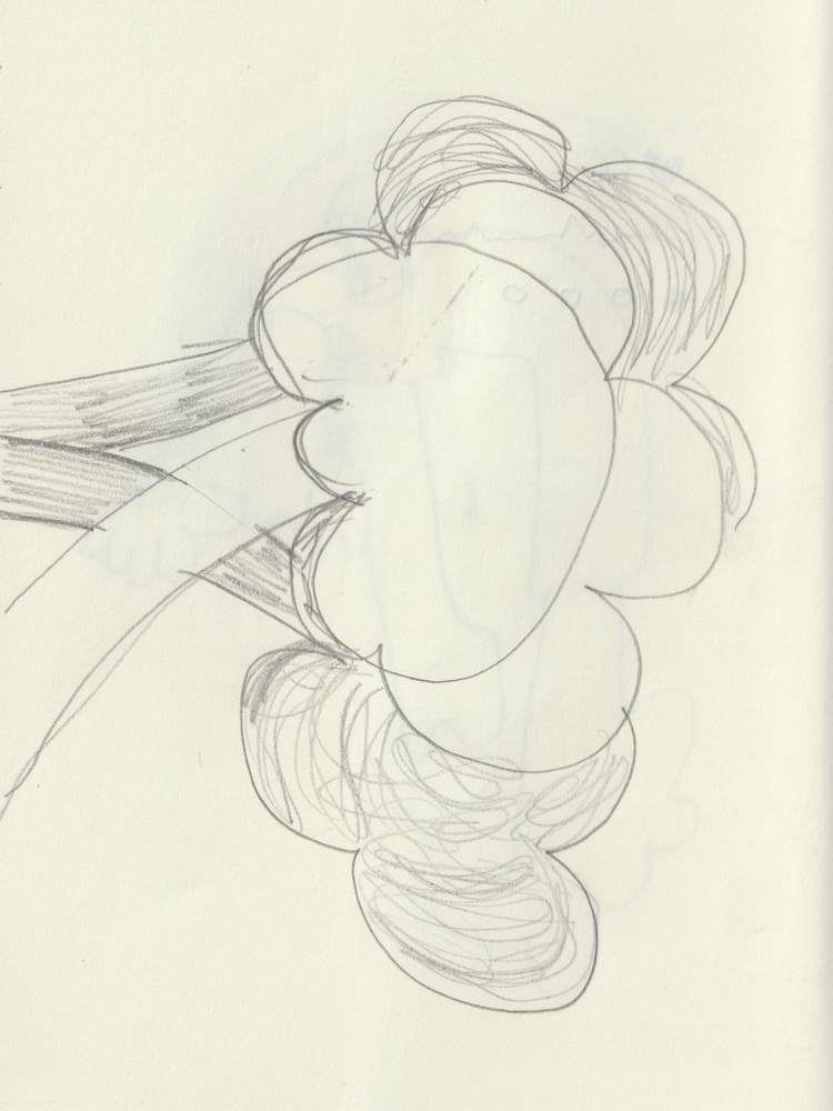 Photographic and Artistic Work by Leon Eichelbaum (Archive) – b2308