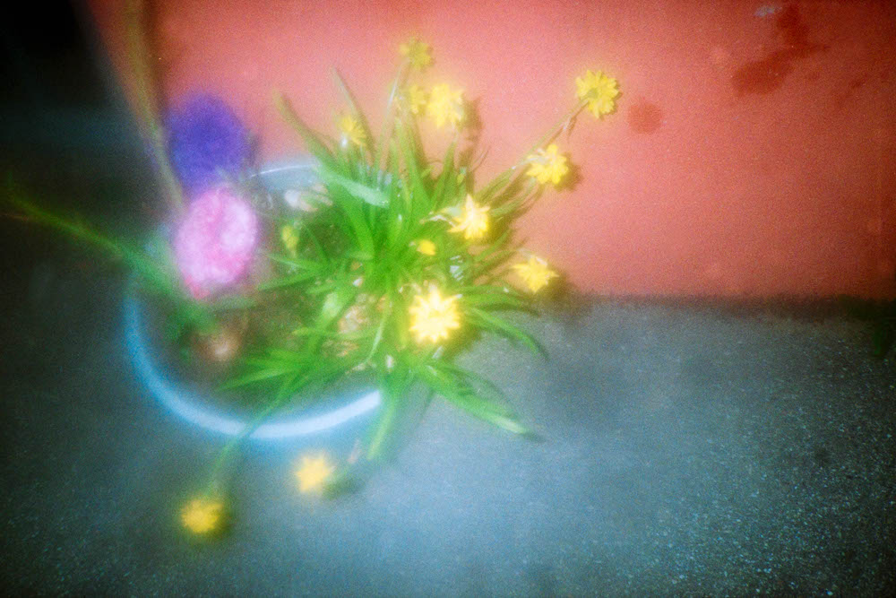 Photographic Work (231) – b231