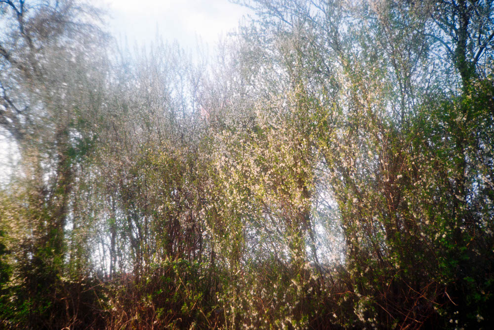 Photographic and Artistic Work by Leon Eichelbaum (Archive) – b233