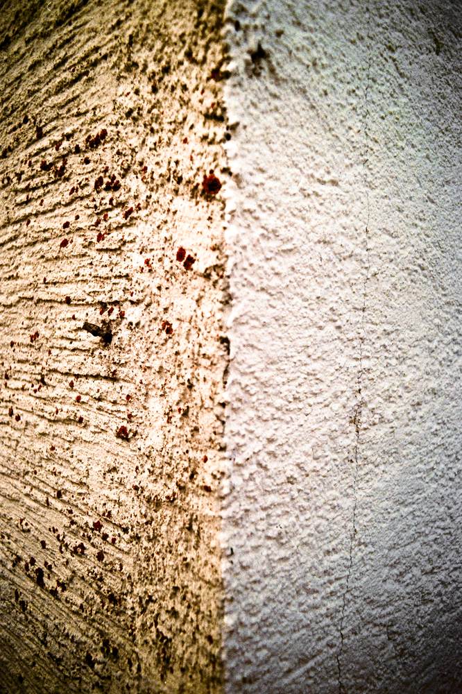 Photographic and Artistic Work by Leon Eichelbaum (Archive) – b2343