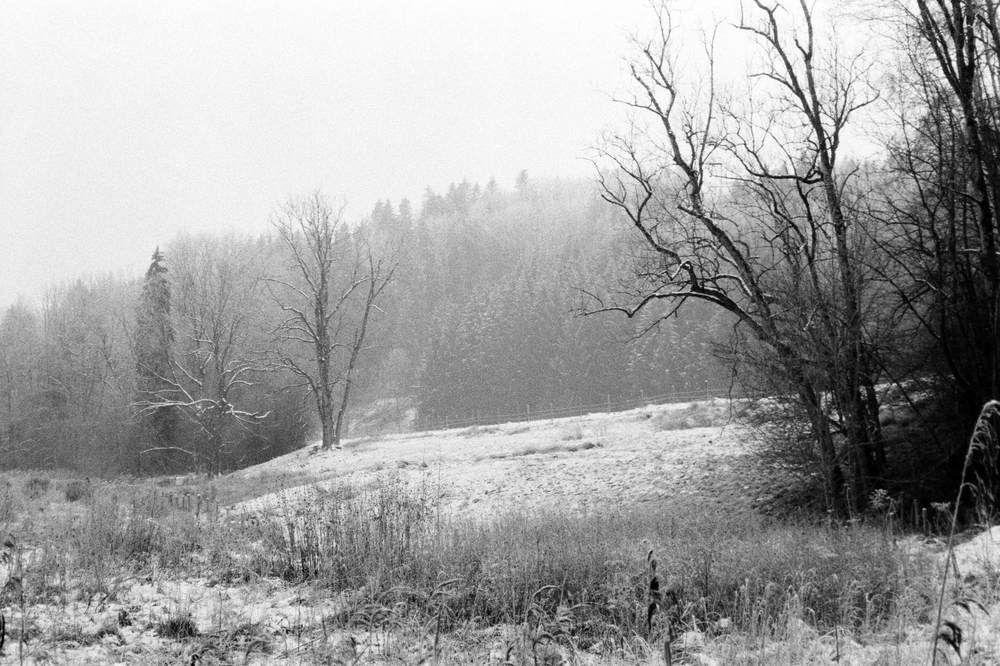 Photographic Work (2354) – b2354
