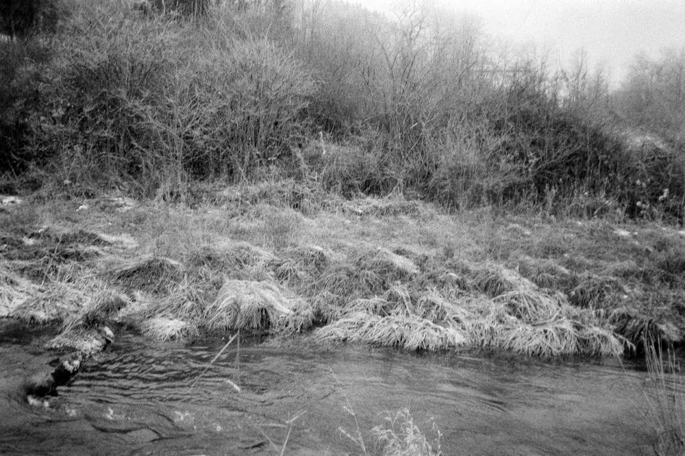 Photographic and Artistic Work by Leon Eichelbaum (Archive) – b2359
