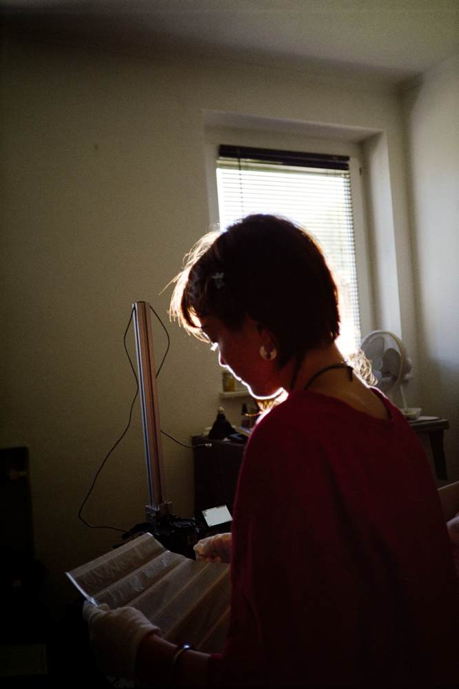 Photographic Work (2441) – b2441