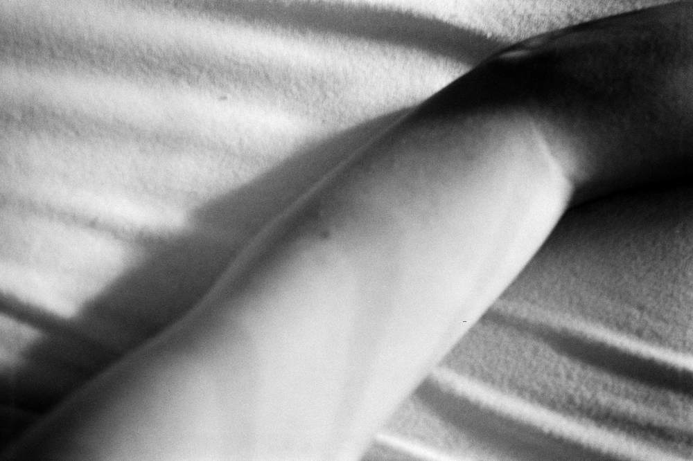 Photographic Work (2504) – b2504