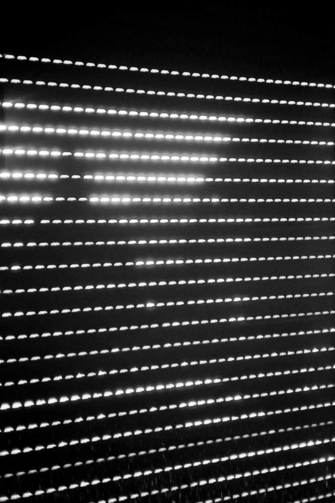 Photographic Work (2511) – b2511