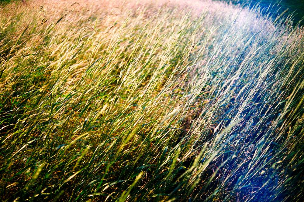 Photographic Work (2565) – b2565