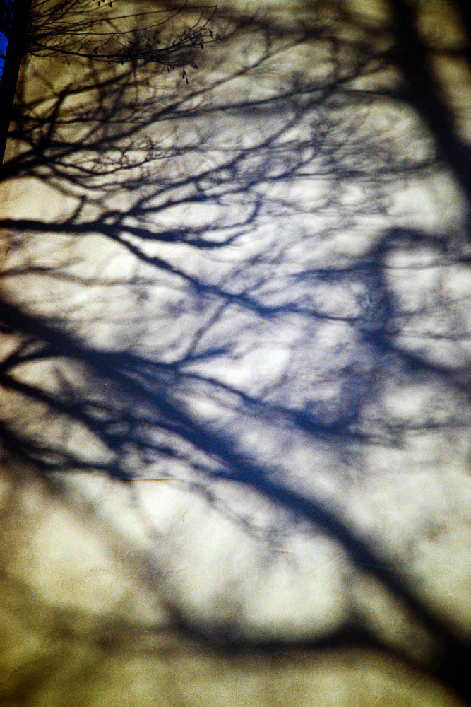 Photographic and Artistic Work by Leon Eichelbaum (Archive) – b359