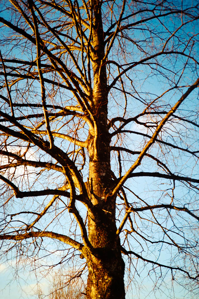Photographic Work (360) – b360