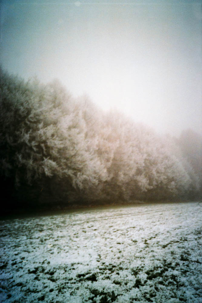 Photographic and Artistic Work by Leon Eichelbaum (Archive) – b487