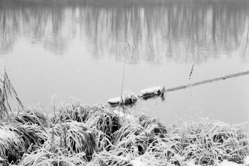 Photographic and Artistic Work by Leon Eichelbaum (Archive) – b535
