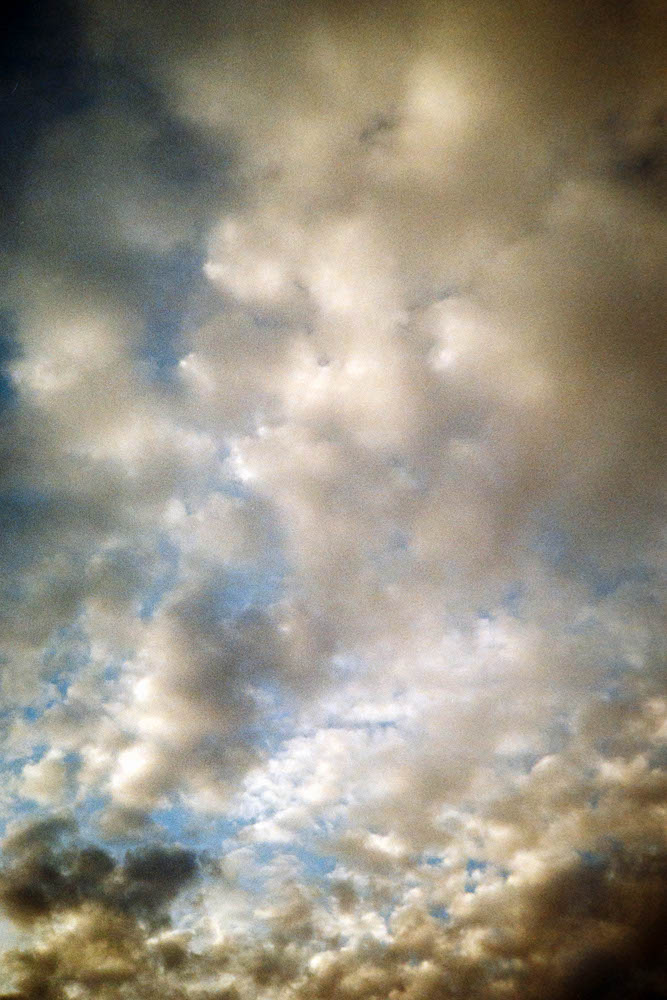 Photographic and Artistic Work by Leon Eichelbaum (Archive) – b589