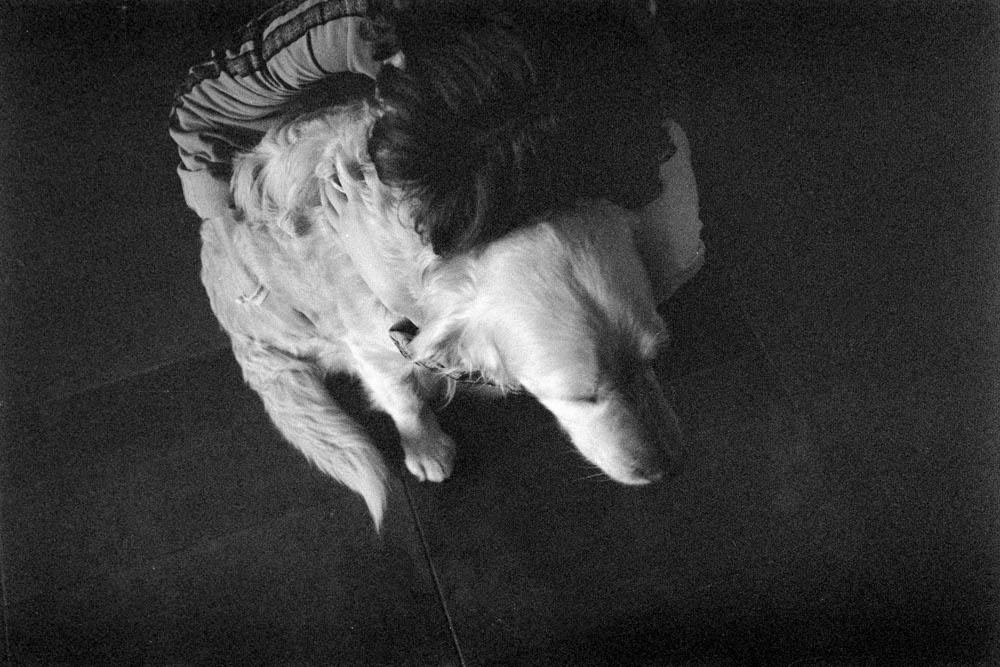 Photographic and Artistic Work by Leon Eichelbaum (Archive) – b637