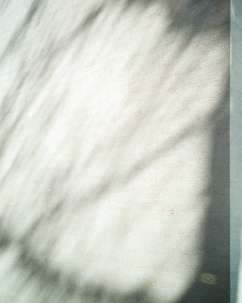 Photographic and Artistic Work by Leon Eichelbaum (Archive) – b69