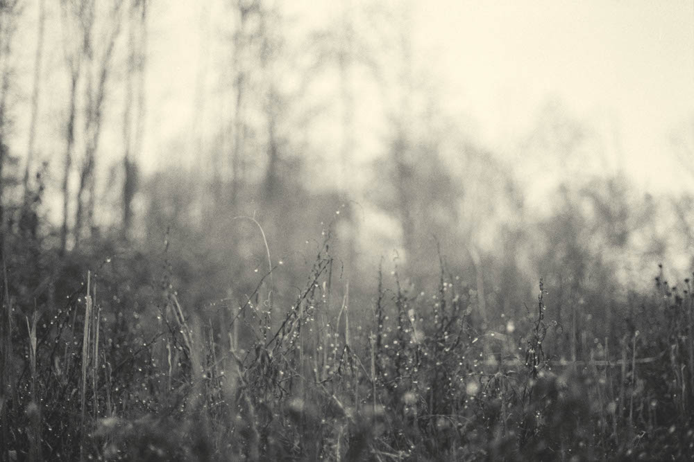 Photographic and Artistic Work by Leon Eichelbaum (Archive) – b719