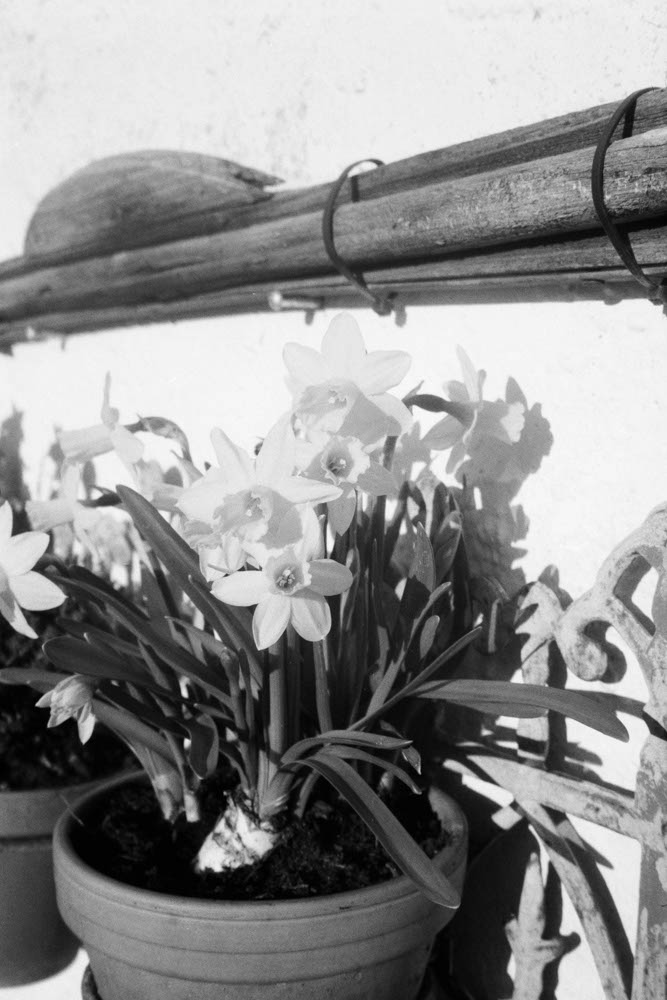 Photographic and Artistic Work by Leon Eichelbaum (Archive) – b72