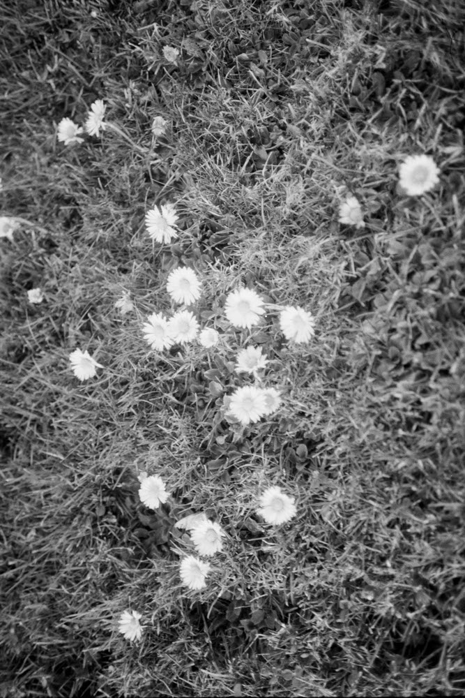 Photographic and Artistic Work by Leon Eichelbaum (Archive) – b73