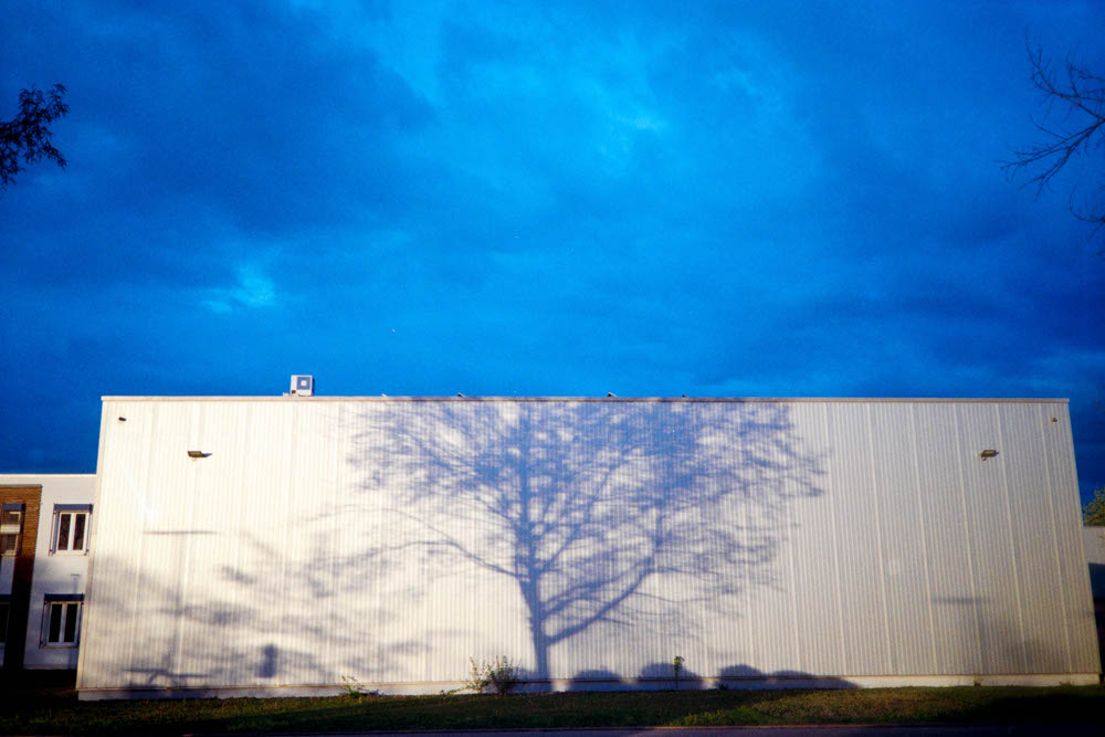 Photographic Work (735) – b735