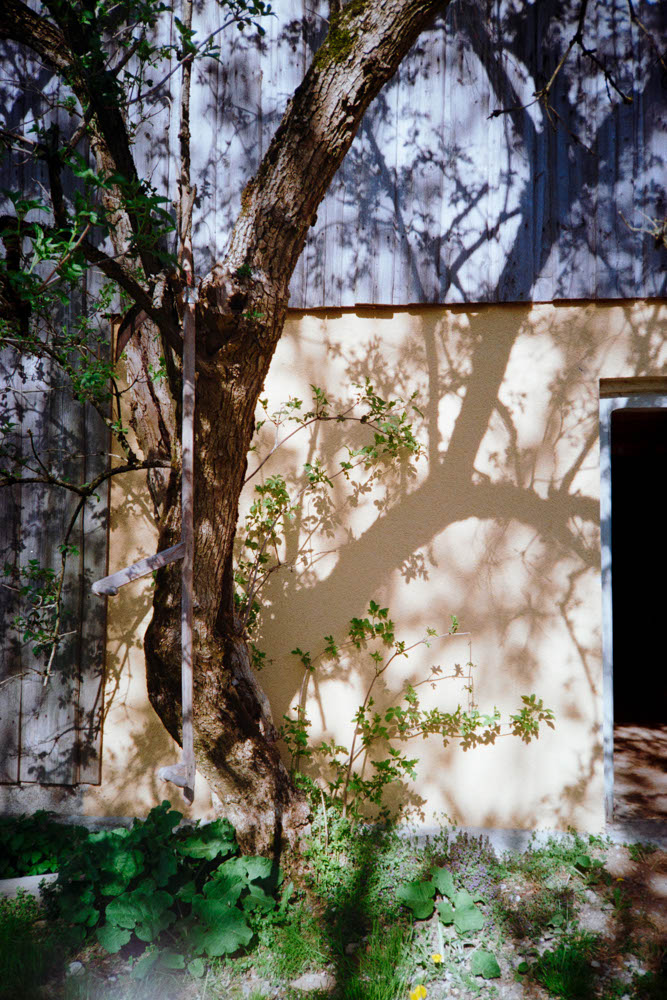 Photographic and Artistic Work by Leon Eichelbaum (Archive) – b754