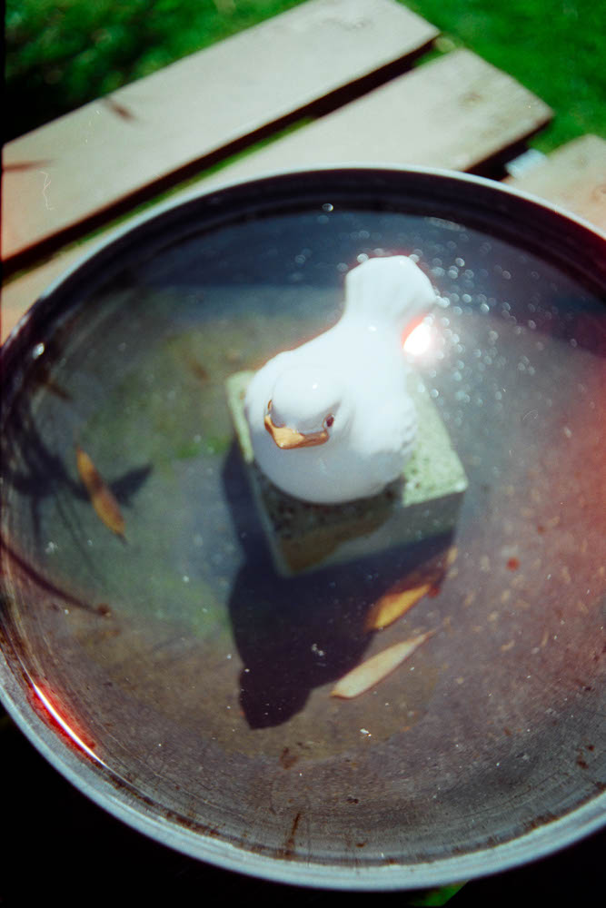 Photographic and Artistic Work by Leon Eichelbaum (Archive) – b769