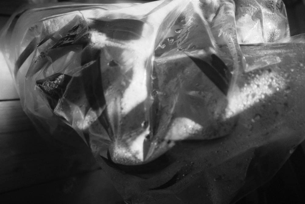 Photographic and Artistic Work by Leon Eichelbaum (Archive) – b818