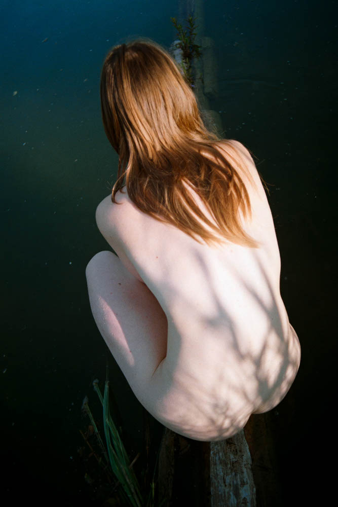 Photographic Work (884) – b884