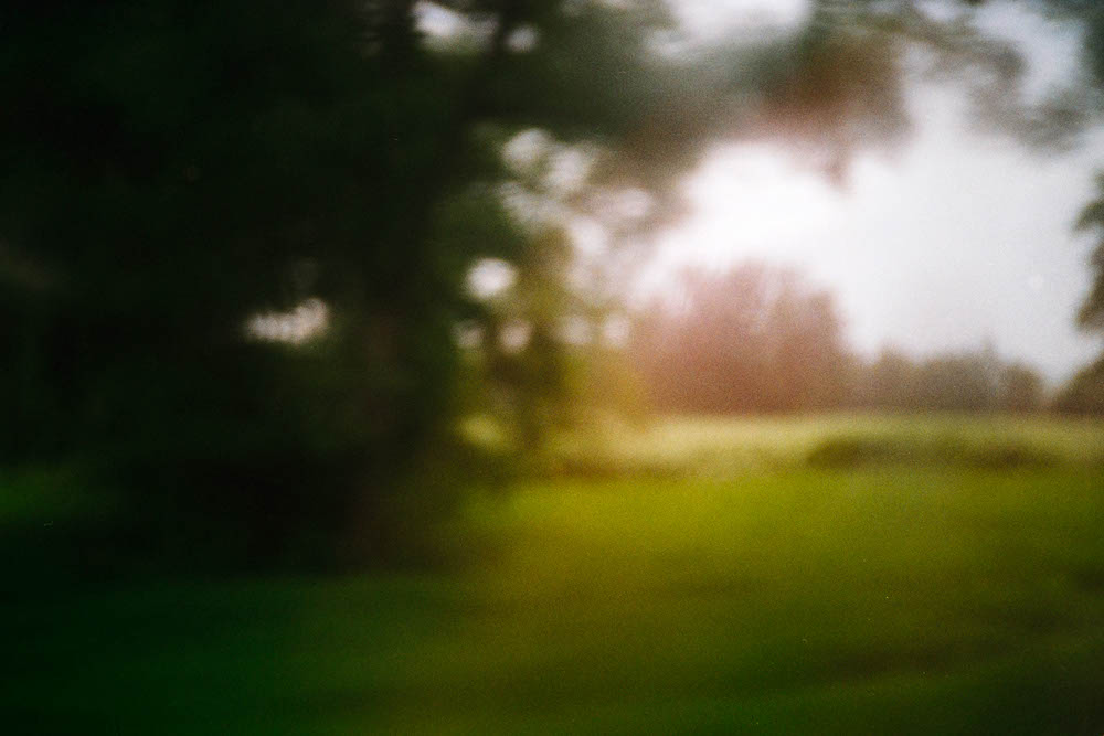 Photographic and Artistic Work by Leon Eichelbaum (Archive) – b947