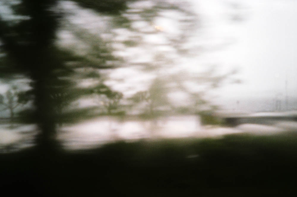 Photographic and Artistic Work by Leon Eichelbaum (Archive) – b949