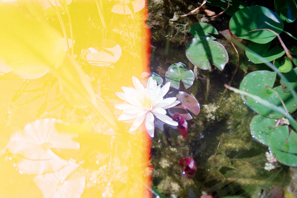 Photographic Work (955) – b955