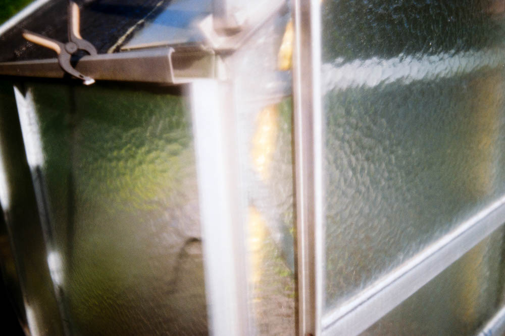 Photographic and Artistic Work by Leon Eichelbaum (Archive) – b963