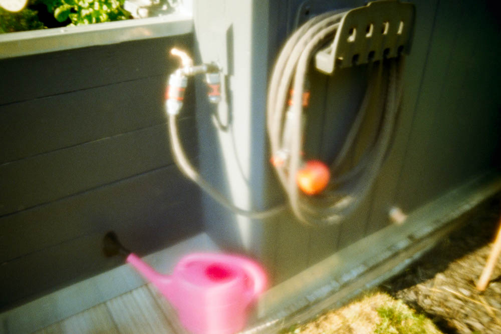 Photographic and Artistic Work by Leon Eichelbaum (Archive) – b964