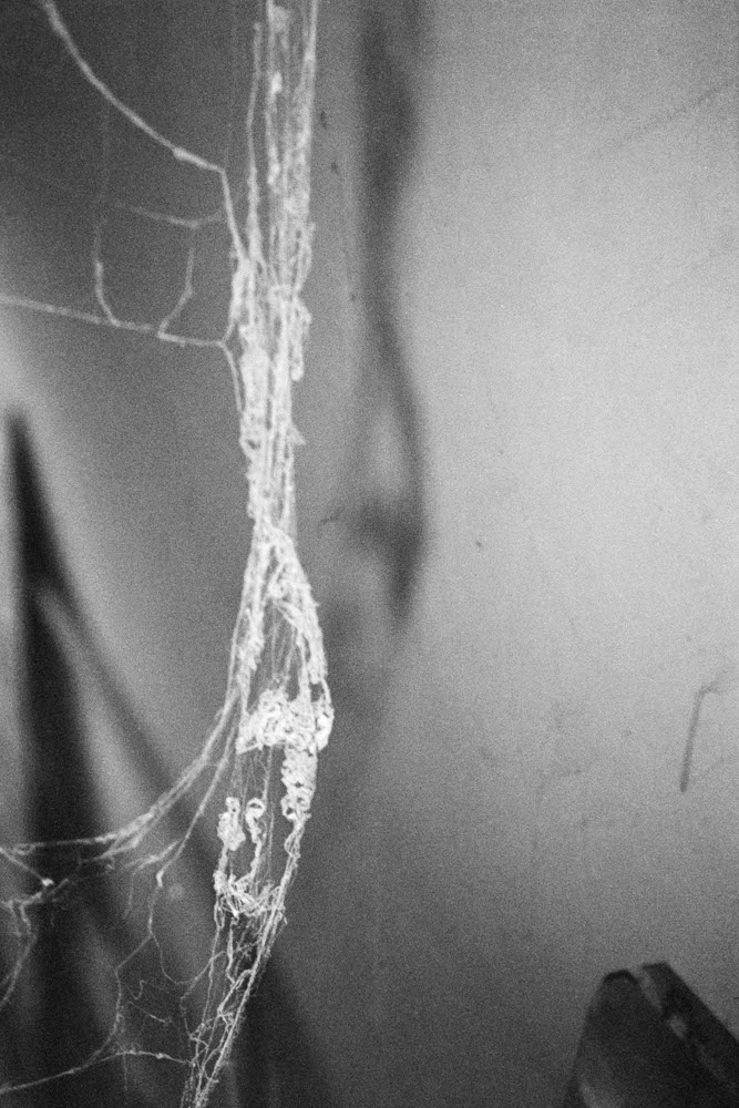 Photographic and Artistic Work by Leon Eichelbaum (Archive) – b981